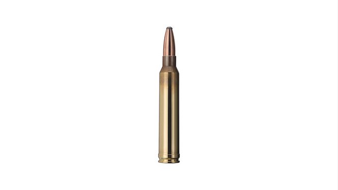MUNITIONS GECO CAL. .300WIN MAG DEMI BLINDEE SOFT POINT 11G 170GR – Image 4